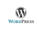 Wordpress Marketing