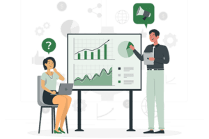 SEO Consultant